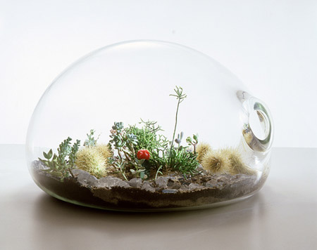 terrarium