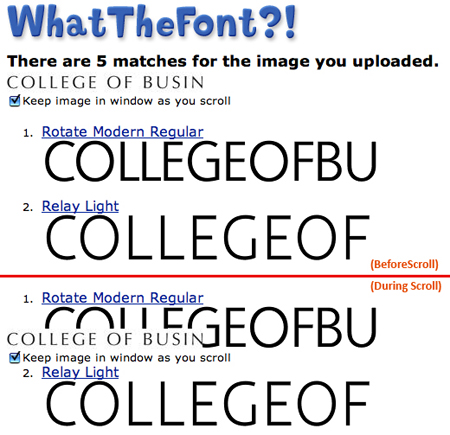 wtf