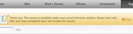 survey